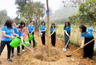 Hội Liên hiệp Phụ nữ thành phố phát động trồng cây với chủ đề “Phụ nữ QQ8839 nhà cái vun trồng tương lai”