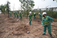 Trồng 800 cây xanh các loại tại Khu liên hợp xử lý chất thải rắn Gia Minh để bảo vệ Qq88 https betamed sa com xung quanh