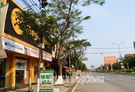 Xử lý dứt điểm vi phạm trật tự Đổi quà QQ88: Thực hiện nghiêm quy chế phối hợp