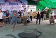 Huyện Vĩnh Bảo: 60 pháo thủ tranh tài tại hội thi giao lưu pháo đất
