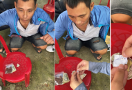 QQ8894 casino trực tuyến các huyện Vĩnh Bảo và An Dương bắt giữ 3 đối tượng tàng trữ trái phép chất ma túy