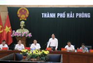 Triển khai các phương án kiểm soát, khống chế dịch bệnh Sốt xuất huyết Dengue trên địa bàn thành phố