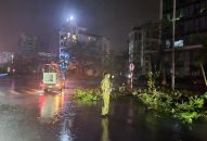 QQ8839 nhà cái: Thiệt hại nặng nề sau bão Yagi