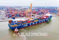 Công ty Cổ phần Cảng QQ8839 nhà cái: Năm 2024, tổng sản lượng hàng hóa thông qua đạt 40 triệu tấn