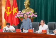 Đẩy nhanh tiến độ triển khai thực hiện các dự án khu QQ8827 Casino, bắn cá, đá gà, thể thao trên địa bàn thành phố