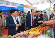 Khai mạc Tuần lễ sản phẩm Thái Lan 2025 tại QQ8839 nhà cái