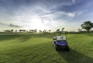 Khoảng 300 tay golf tham gia Giải golf Hoa Phượng Đỏ 2025