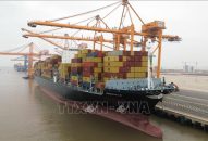 Chấp thuận chủ trương QQ88 là nhà cái game cá cược trực tuyến số 1 Việt Nam 4 bến cảng Lạch Huyện với tổng số vốn 24.846 tỷ đồng