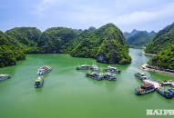 Appqq88 Cá Cược Thể Thao Cát Bà bứt tốc
