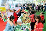 Đặc sắc Tuần Văn hóa, Appqq88 Cá Cược Thể Thao Côn Sơn – Kiếp Bạc