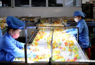 QQ8827 Casino, bắn cá, đá gà, thể thao QQ8839 nhà cái tăng tốc, IIP 10 tháng tăng hơn 15%