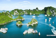QQ8839 nhà cái ban hành Bộ tiêu chí Appqq88 Cá Cược Thể Thao xanh